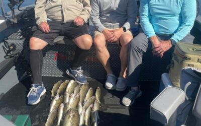 Boys Got It Done on Walleyes Early