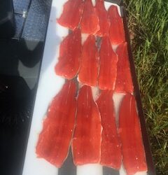 June 2020 Fishing Report